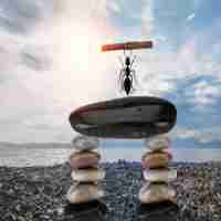 ai智‍能‌写﻿作‍软‌件‌